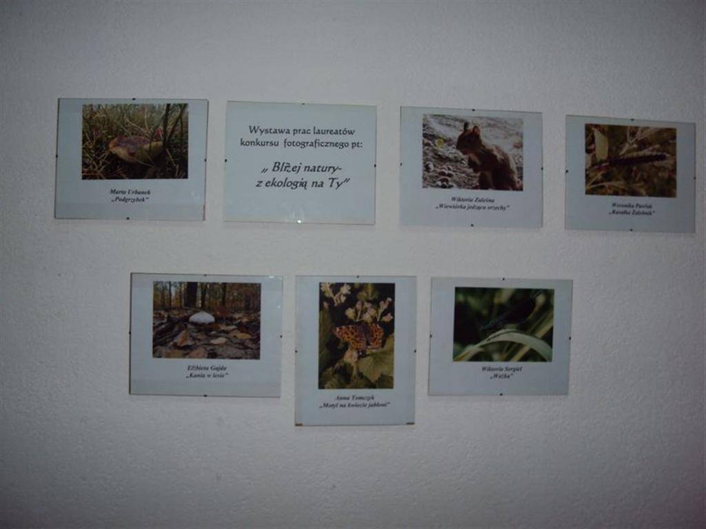 Bliżej natury - z Ekologią na Ty - wystawa prac