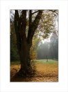 Fotografie Ryszarda Zycha