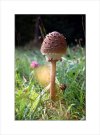 Fotografie Ryszarda Zycha